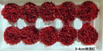 3-4cm康乃馨❁素色/特殊色 3色❁(4/21已更新)3