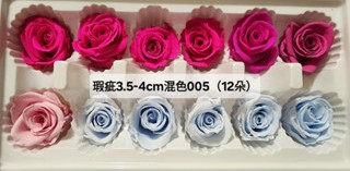 ♩盒裝花/特價盒/混色盒♩(8/7已更)4