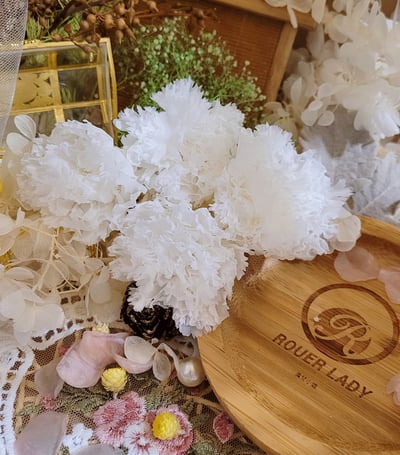 4-5cm康乃馨❁素色/特殊色 7色❁(4/21已更新)3