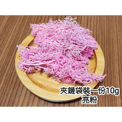 ★馴鹿草/苔蘚/馴鹿苔★（4／21已更新）8