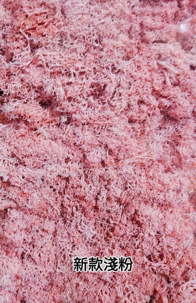 ★馴鹿草/苔蘚/馴鹿苔★（4／21已更新）11