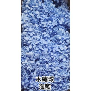 ★木繡球 單色 雙色 限定色★（8／7已更新）16