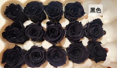 2-2cm多矮小迷你玫瑰❁素色 28色❁（8/7已更新）2