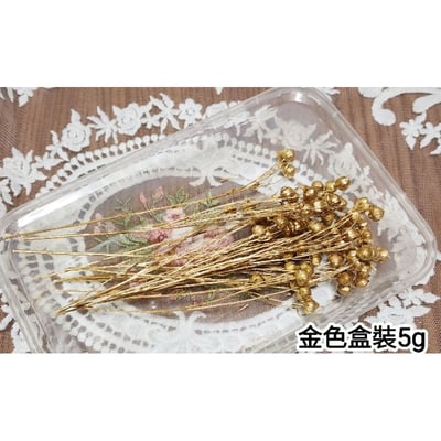 ✭臨花/相思豆/富貴豆/胡麻豆/亞麻果實✭（8／4已更新）3