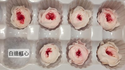 ❁3cm/3-4cm蝴蝶奧斯汀/庭園奧斯汀❁（7／25已更新）11