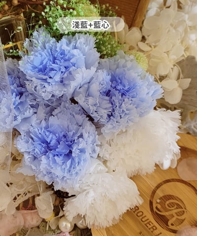 4-5cm康乃馨❁素色/特殊色 7色❁(4/21已更新)6