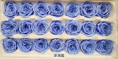 ❤2-3cm奧斯汀/巧克力奧斯汀 17色❤20