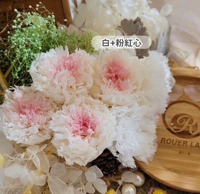 4-5cm康乃馨❁素色/特殊色 7色❁(4/21已更新)5