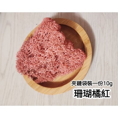 ★馴鹿草/苔蘚/馴鹿苔★（4／21已更新）3