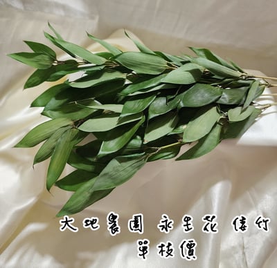 ❁大地農園EARTH MATTERS❁倭竹1