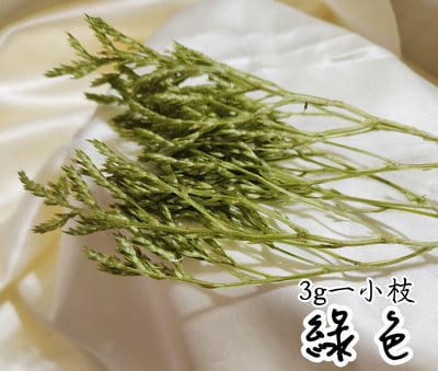 ❁大地農園EARTH MATTERS❁平葉磯松/雪花4