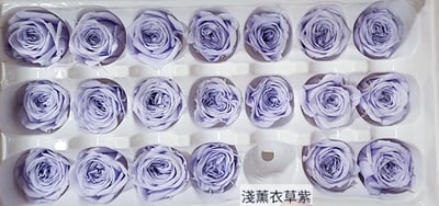 ❤2-3cm奧斯汀/巧克力奧斯汀 17色❤19