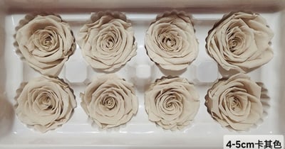 4-5cm玫瑰❁素色/特殊色 11色❁(7/27已更)3