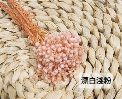 ❁米花 米香 米香花 小米花❁（9／14）16