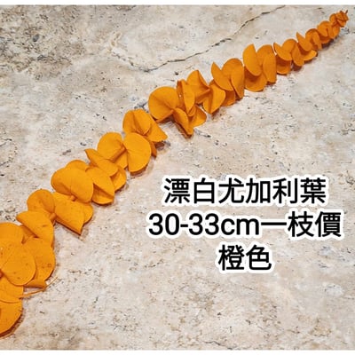 漂白尤加利葉/小圓葉桉/大圓葉桉/蘋果桉4