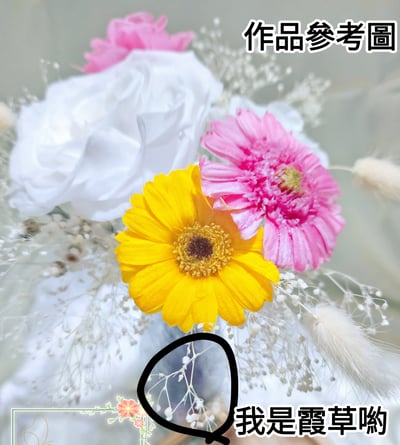 ❁霞草/百萬星❁4