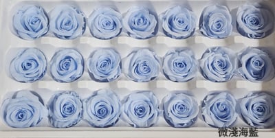 2-3偏3CM玫瑰❁素色 33色❁22