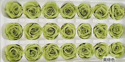 2-3偏3CM玫瑰❁素色 33色❁14