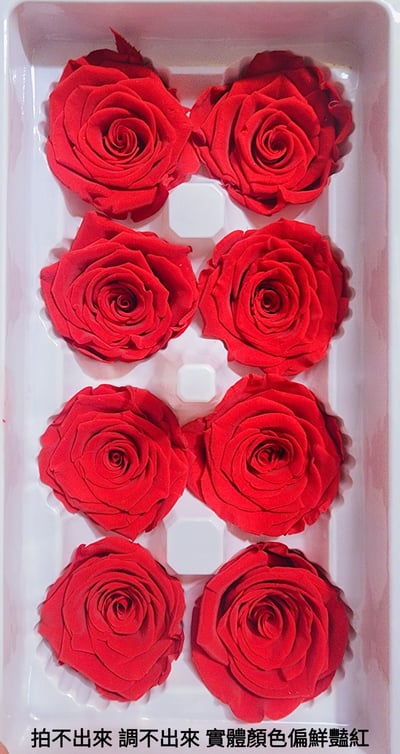 4-5cm玫瑰❁素色/特殊色 11色❁(7/27已更)12