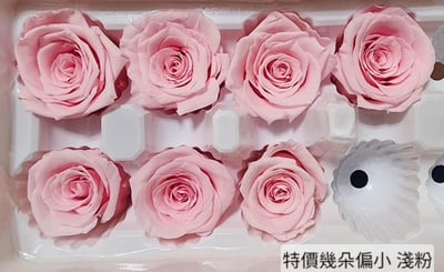 4cm玫瑰❁素色 22色❁(8/7已更)20