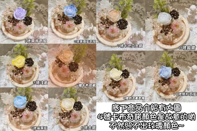 2-3偏3CM玫瑰❁特殊色 客製化❁（4／21已更新）3