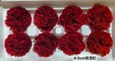 4-5cm康乃馨❁素色/特殊色 7色❁(4/21已更新)15