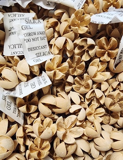 木荷果/開心果/開口笑果實/十字果16