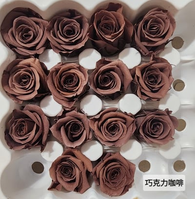 2-2cm多矮小迷你玫瑰❁素色 28色❁（8/7已更新）6