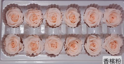 3.5-4cm玫瑰❁素色 27色❁(8/7已更)11
