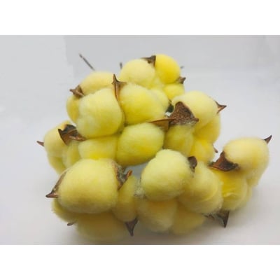 ☆棉花頭帶桿☆4