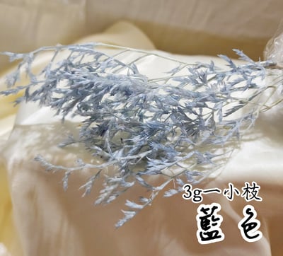 ❁大地農園EARTH MATTERS❁平葉磯松/雪花5