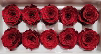 4cm玫瑰❁素色 22色❁(8/7已更)5