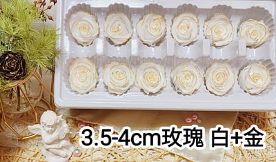 3.5-4cm玫瑰❁特殊色 4色❁(7/25已更)3