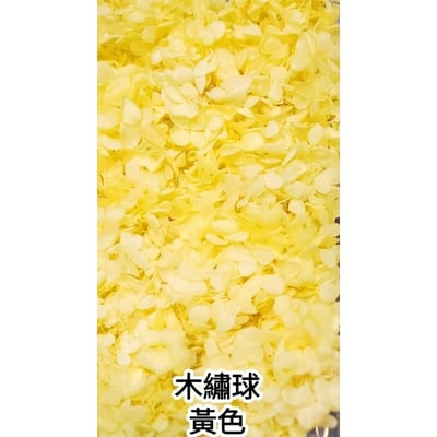 ★木繡球 單色 雙色 限定色★（8／7已更新）3