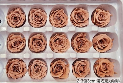 2-3偏3CM玫瑰❁素色 33色❁7