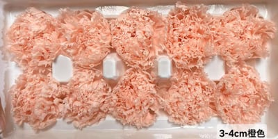 3-4cm康乃馨❁素色/特殊色 3色❁(4/21已更新)5