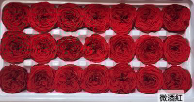 ❤2-3cm奧斯汀/巧克力奧斯汀 17色❤15