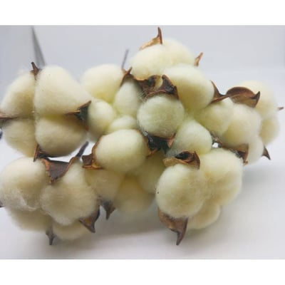 ☆棉花頭帶桿☆3