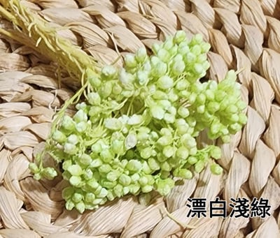 ❁米花 米香 米香花 小米花❁（9／14）5