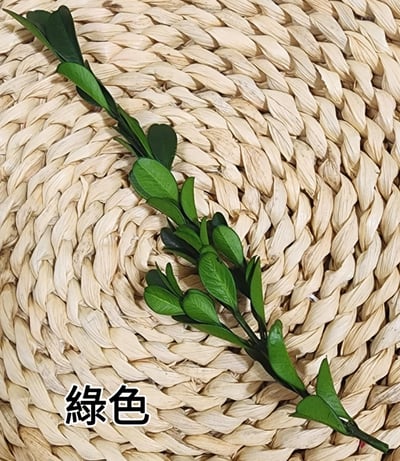 ✿黃楊/金柳✿(8/4已更新)9