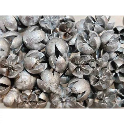 木荷果/開心果/開口笑果實/十字果9