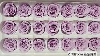 2-3偏3CM玫瑰❁素色 33色❁8