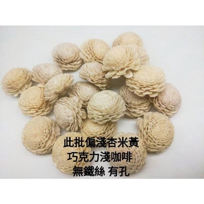 ♫無芯菊索拉花♫5