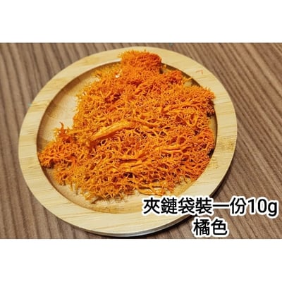 ★馴鹿草/苔蘚/馴鹿苔★（4／21已更新）7