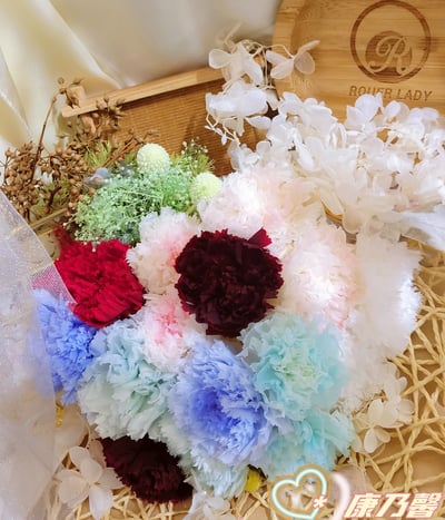 4-5cm康乃馨❁素色/特殊色 7色❁(4/21已更新)1