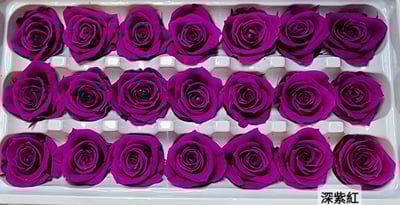 2-3偏3CM玫瑰❁素色 33色❁6