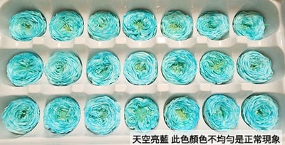 ❤2-3cm奧斯汀/巧克力奧斯汀 17色❤5