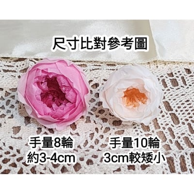 ❁3cm/3-4cm蝴蝶奧斯汀/庭園奧斯汀❁（7／25已更新）2