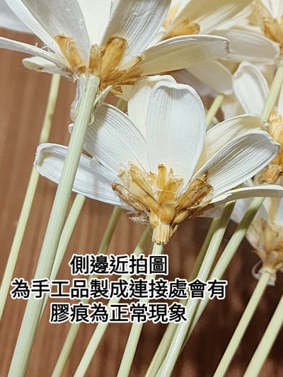 瓜子花/瓜果殼花手工品4