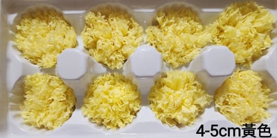 4-5cm康乃馨❁素色/特殊色 7色❁(4/21已更新)12